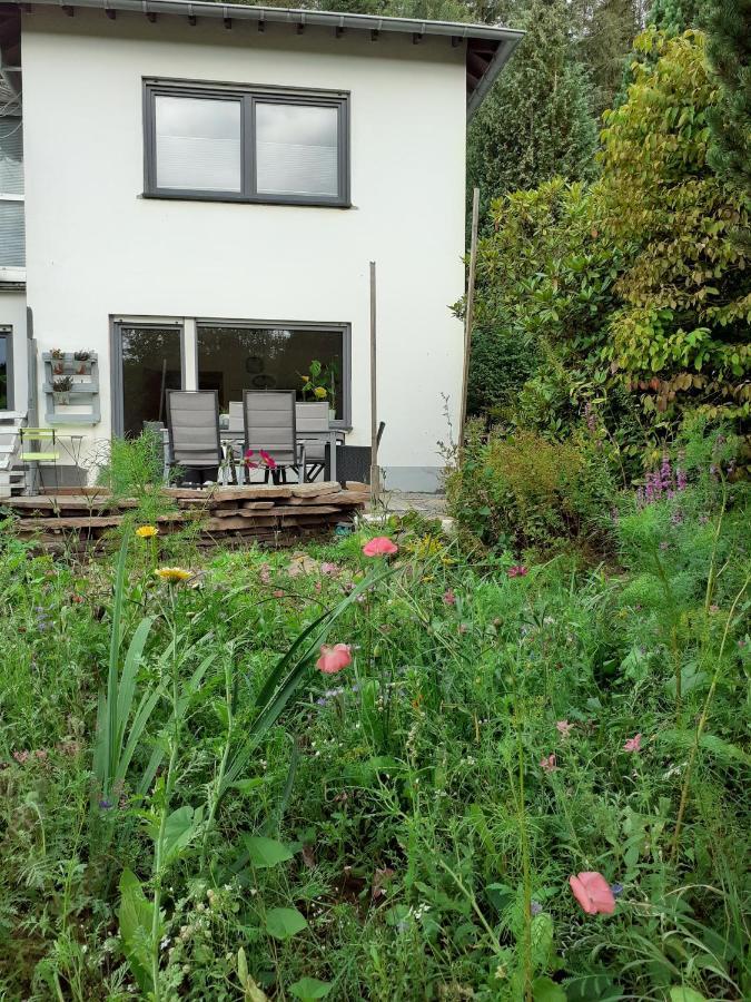 Helle, moderne Ferienwohnung am Waldrand in Prüm für max 4 Personen Exterior foto